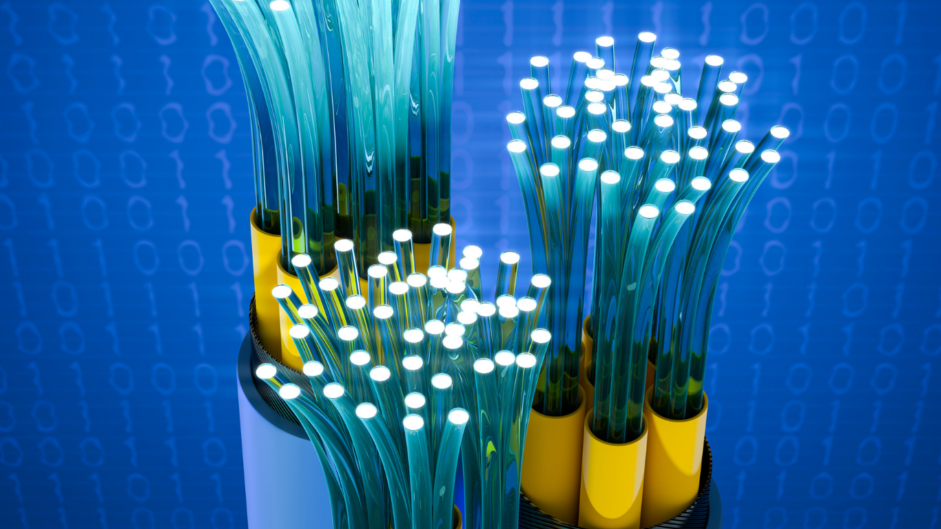 Algérie - Fibre optique